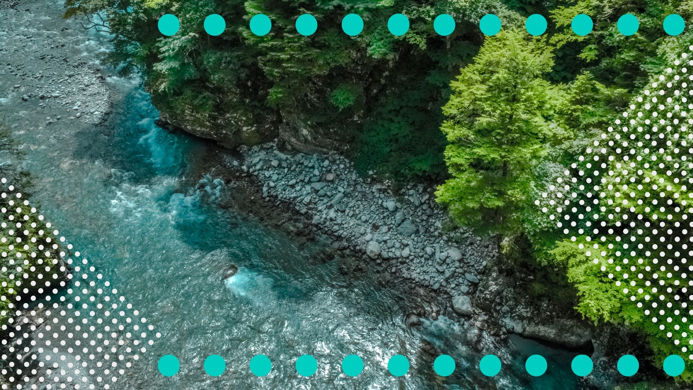Birds eye view of river and trees