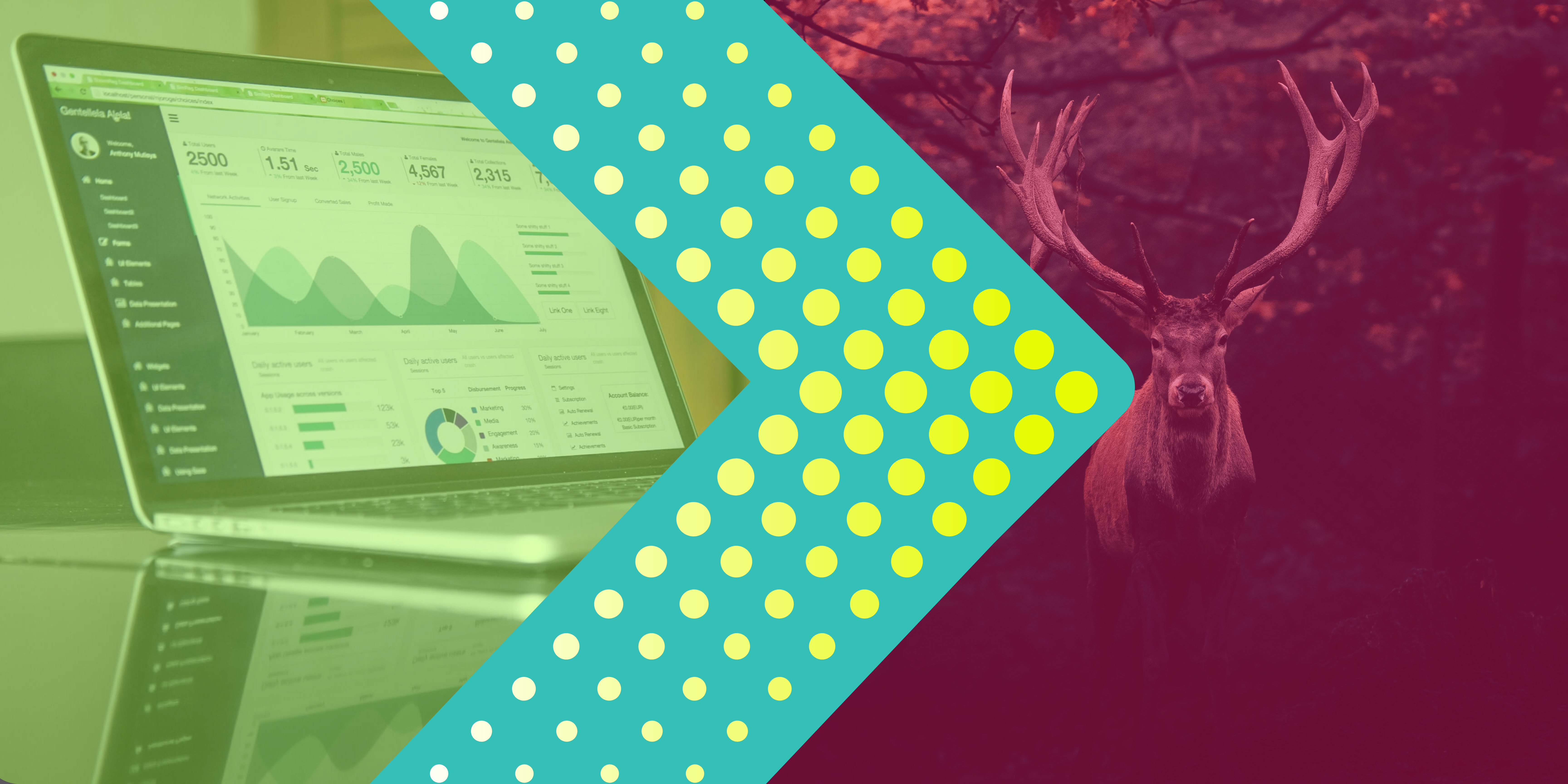 Data Science in the Wild Mashup