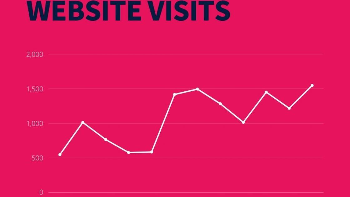 Website visits graph