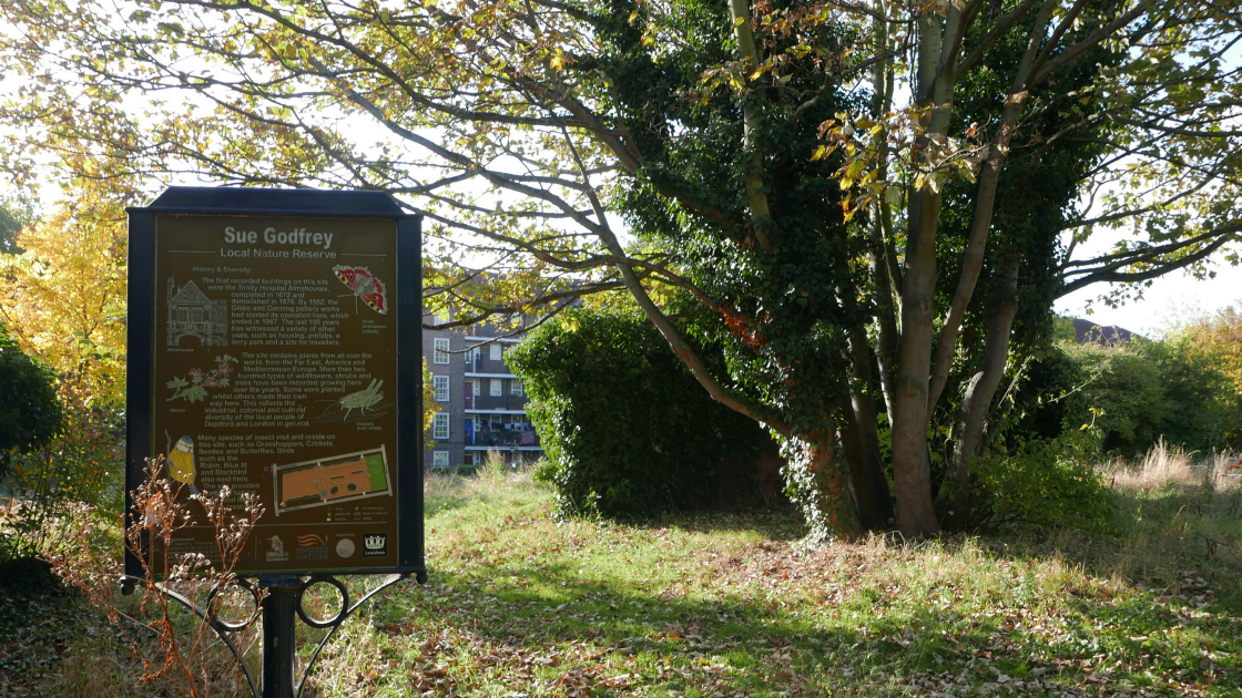 Sue Godfrey Wildlife Garden 