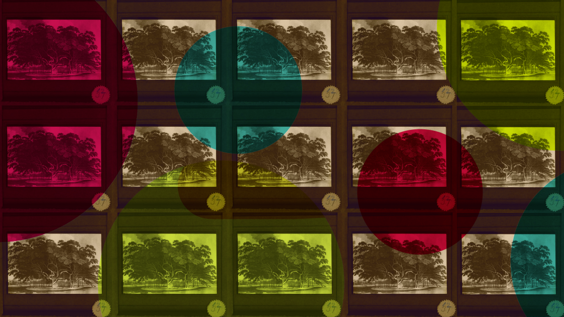 Background trees image