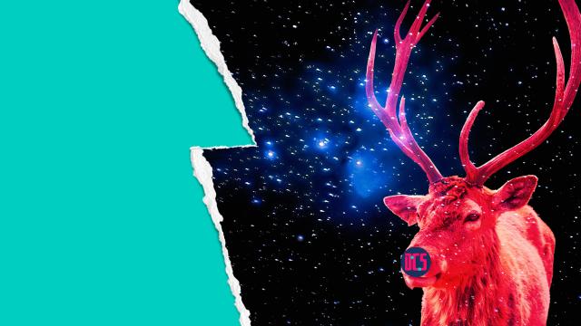 Graphic of blue Christmas tree and reindeer with CDCS logo 