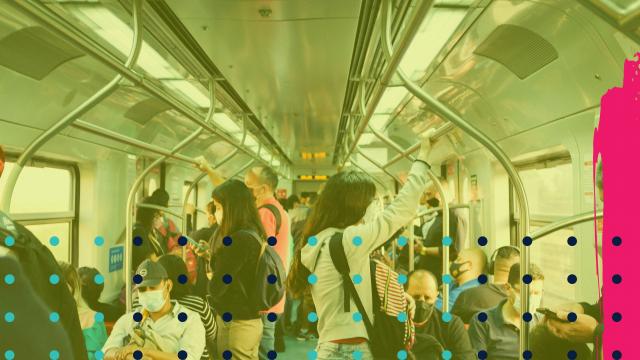 local trasport mashup