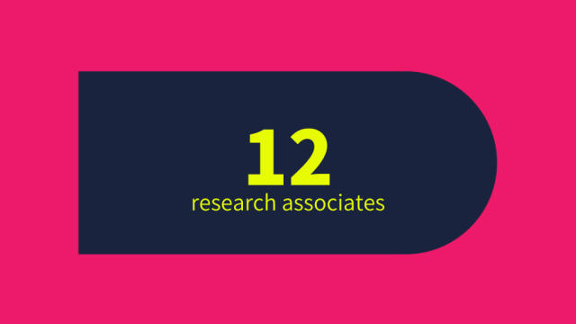 Rounded rectangle with text "12 research associates"