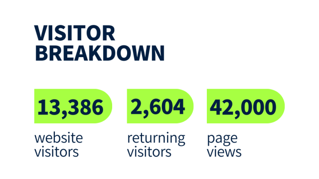 Visitor breakdown infographic. 13,386 website visitors, 2,604 returning visitors, and 42,000 page views.